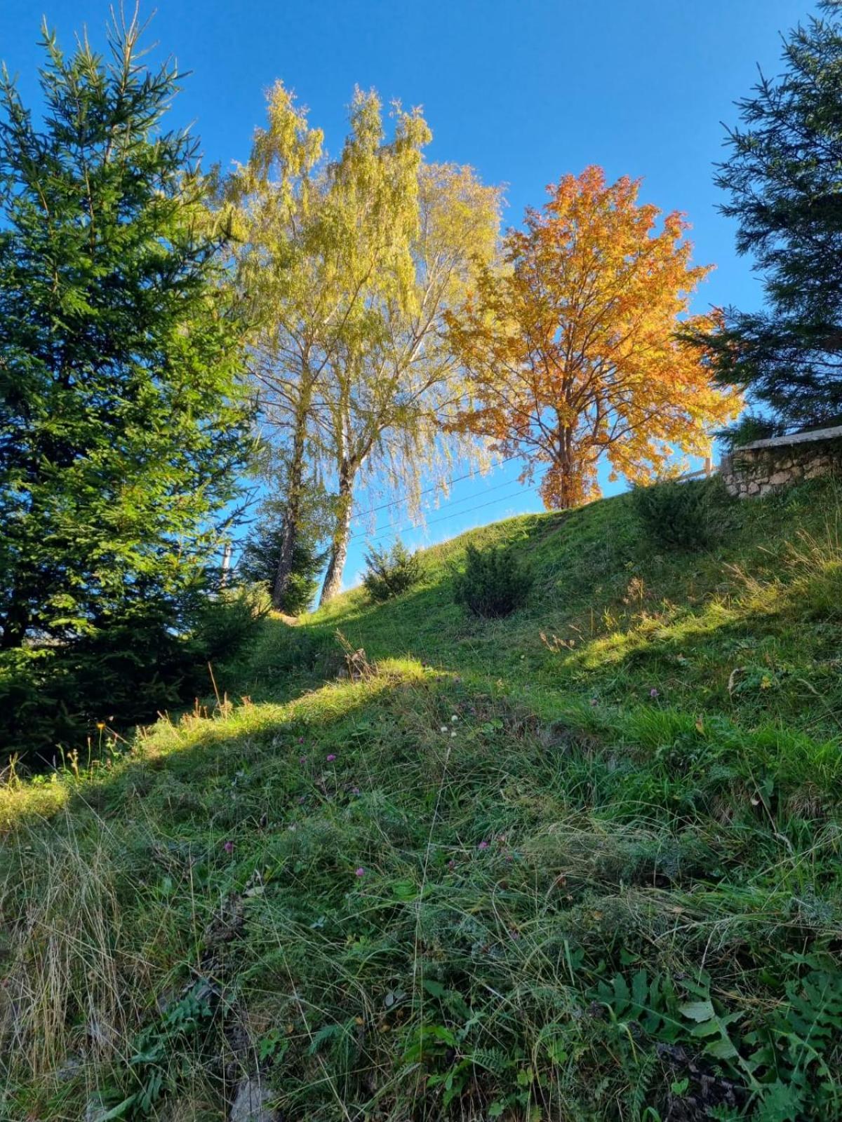 Mosorel Măgura 외부 사진