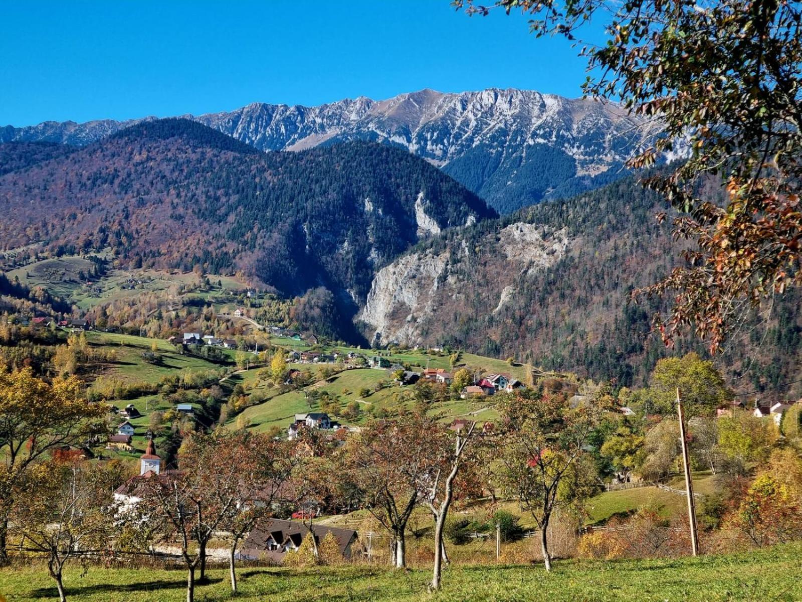Mosorel Măgura 외부 사진
